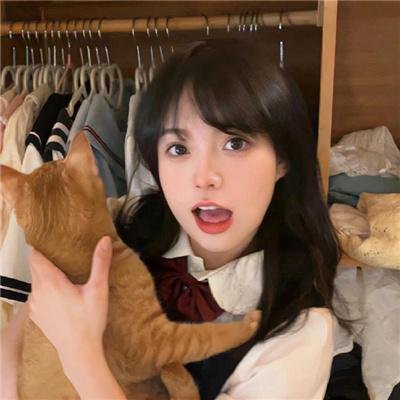 被怀疑：兔子和刺猬